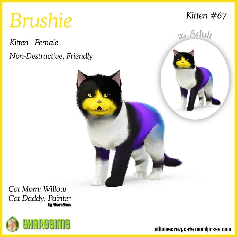 100 Cats Challenge – Brushie