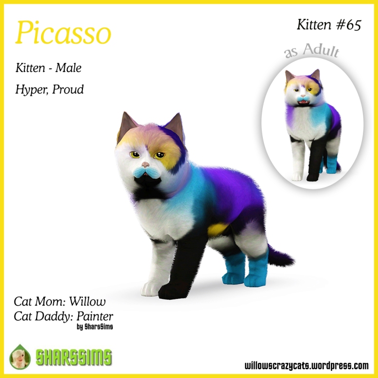 100 Cats Challenge – Picasso